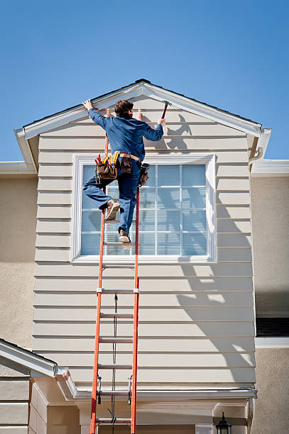 Best Stone Veneer Siding  in Edinburg, TX